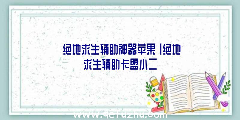 「绝地求生辅助神器苹果」|绝地求生辅助卡盟小二